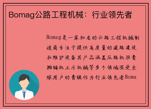 Bomag公路工程机械：行业领先者