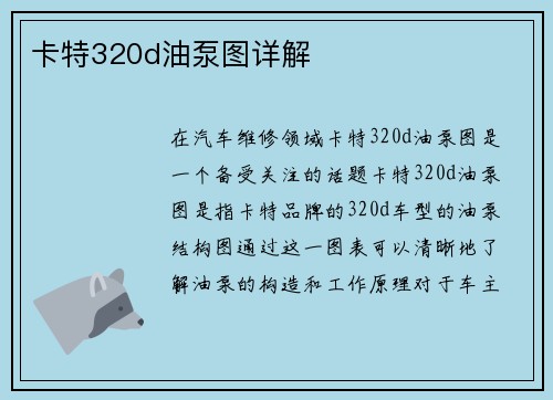 卡特320d油泵图详解